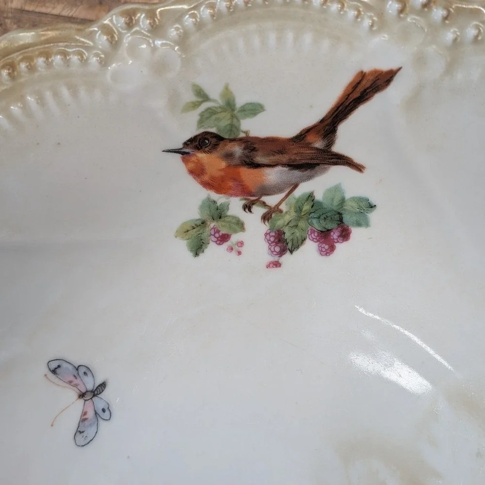 Vintage Leuchtenburg Germany Porcelain Birds Butterfly GoldTrim Lusterware Bowl